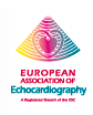 European Association of Echocardiography (EAE)