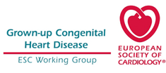 European Society of Cardiology